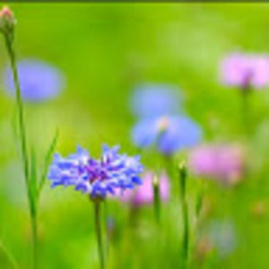 Meet your Posher, Sergey